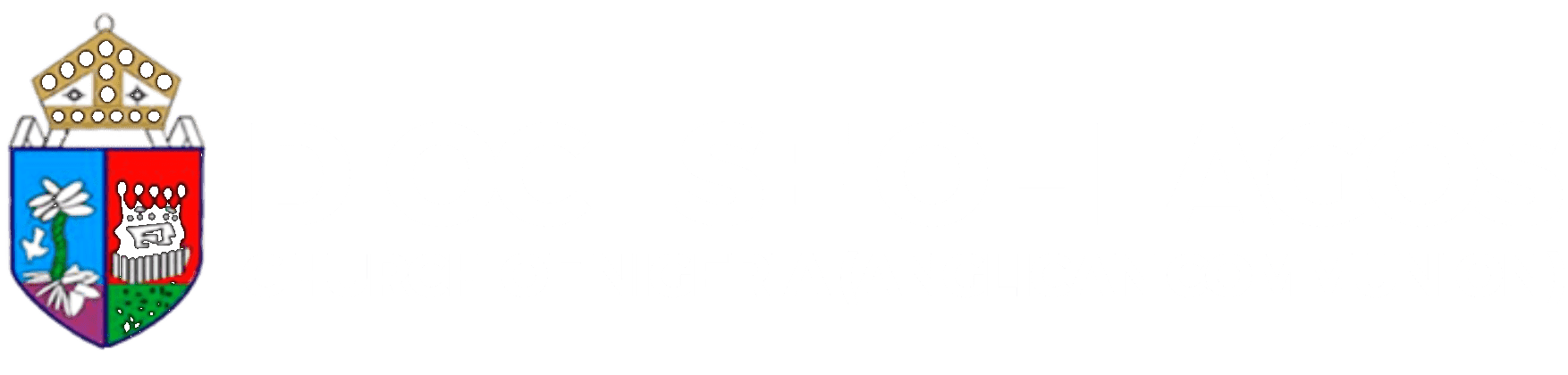 Diocese Of Lagos